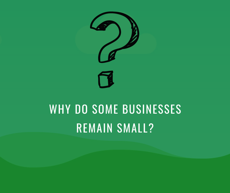 Why do some businesses remain small?